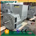 LANDTOP Competitive electric dynamo price in India